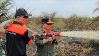 Kebakaran Lahan Gambut Hantam Desa Persiapan Air Merah, Gubernur Jambi Ikut Padamkan Api